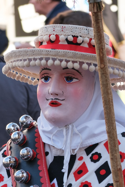 Il carnevale di Svitto.